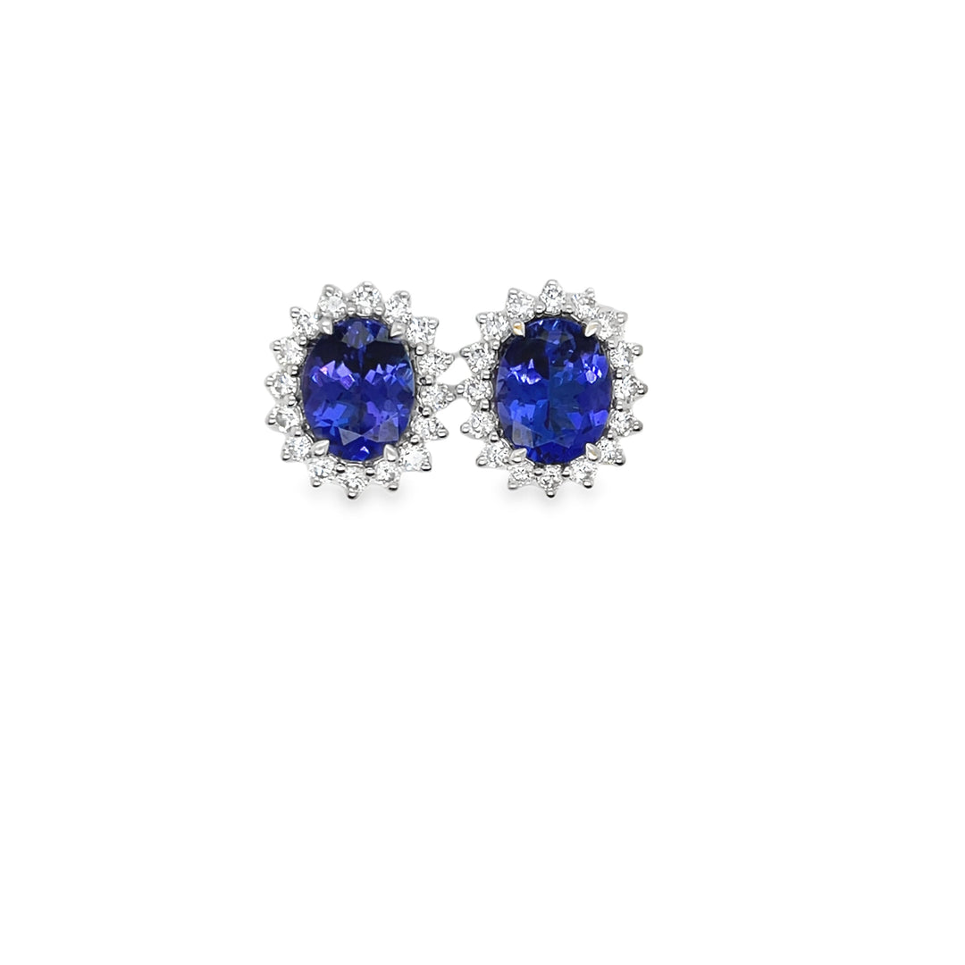 Oval Tranzanite studs